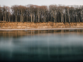 german roamers tree line on water