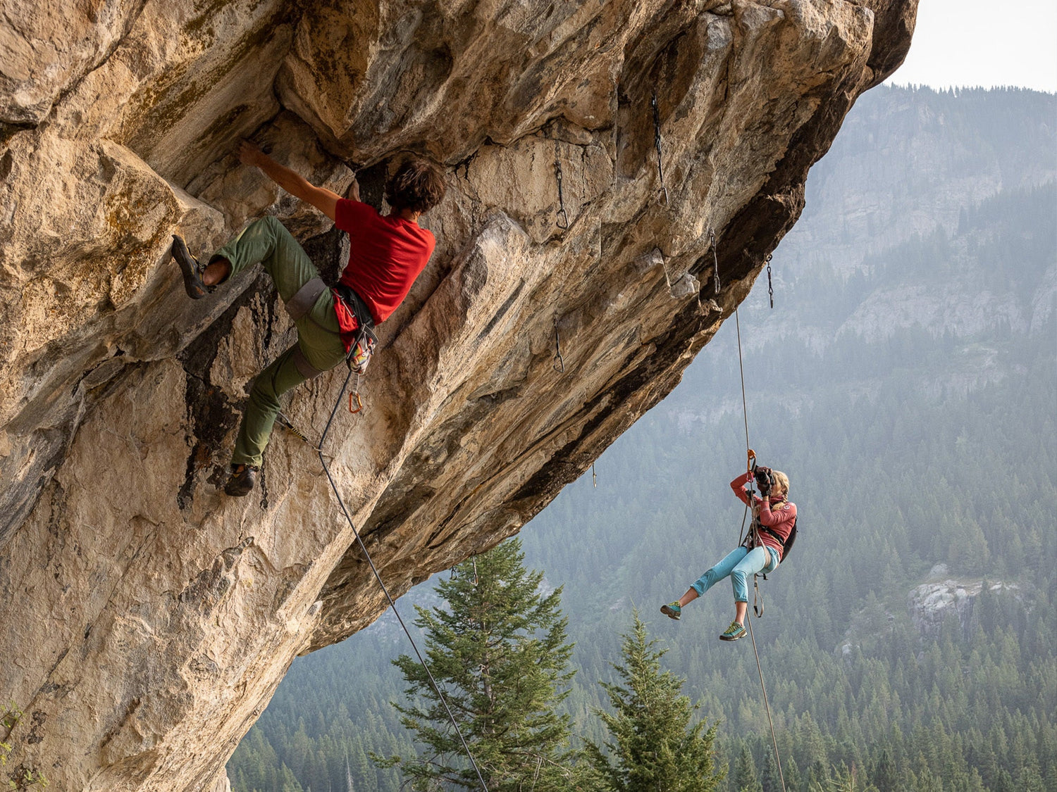 made for savannah climbing and photography