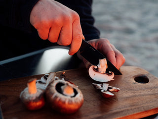 german roamers cutting mushrooms