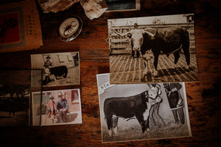 A collection of vintage farm photos.