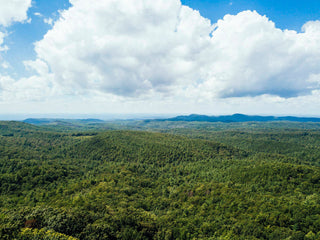 under open air green landscape