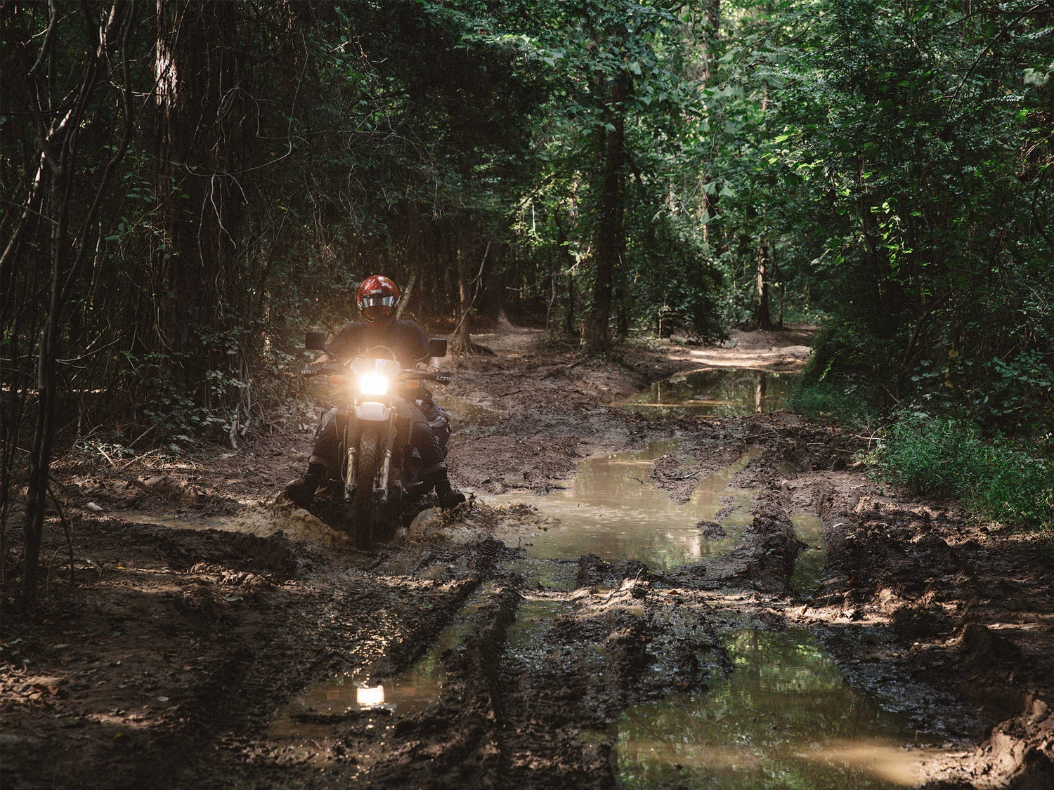 under open air evening ride in woods